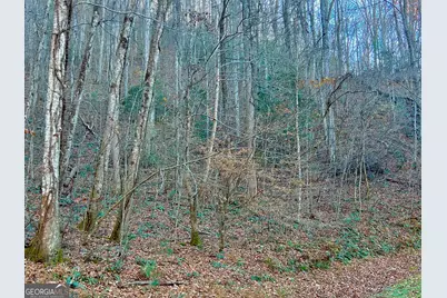 22 Walkers Ridge, Mineral Bluff, GA 30559 - Photo 4