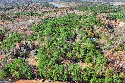 11.62+/- Ac New Franklin Road, Hogansville, GA 30230 - Photo 20