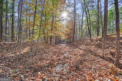 11.62+/- Ac New Franklin Road, Hogansville, GA 30230 - Photo 6