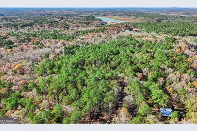 11.62+/- Ac New Franklin Road, Hogansville, GA 30230 - Photo 22