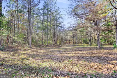 11.62+/- Ac New Franklin Road, Hogansville, GA 30230 - Photo 12