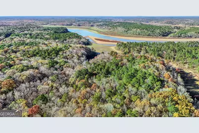 11.62+/- Ac New Franklin Road, Hogansville, GA 30230 - Photo 2