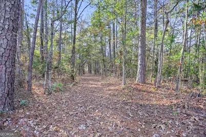 11.62+/- Ac New Franklin Road, Hogansville, GA 30230 - Photo 8