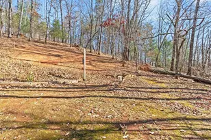 924 Fred Ash Rd, Dahlonega, GA 30533 - Photo 30