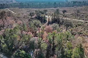 2286 Carter Bight Landing Rd, Surrency, GA 31563 - Photo 30