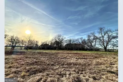 3 N. County Line Road, Elko, GA 31025 - Photo 1