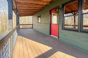 441 Skyview Cir, Clarkesville, GA 30523 - Photo 20