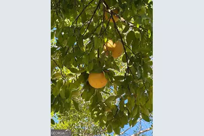 1208 Margaret, Waycross, GA 31503 - Photo 2