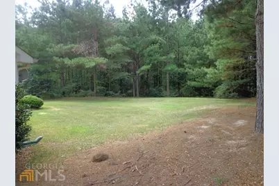 45 Chemin Place, Sharpsburg, GA 30277 - Photo 44