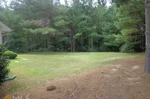 45 Chemin Pl, Sharpsburg, GA 30277 - Photo 44