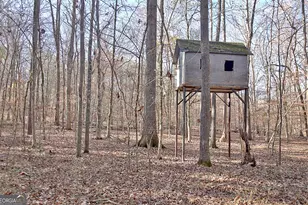 255 Lone Oak Dr, Senoia, GA 30276 - Photo 58