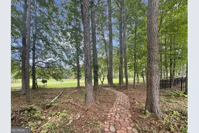 233 Horizon Hill, Newnan, GA 30265 - Photo 4