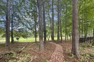 233 Horizon Hill, Newnan, GA 30265 - Photo 4