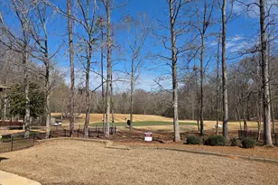 233 Horizon Hill, Newnan, GA 30265 - Photo 4