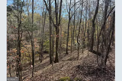 0 Old Middleton Road, Elberton, GA 30635 - Photo 38