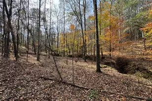0 Old Middleton Rd, Elberton, GA 30635 - Photo 1