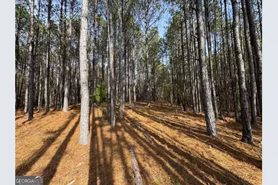 0 Old Middleton Road, Elberton, GA 30635 - Photo 34