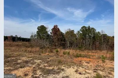 0 Old Middleton Road, Elberton, GA 30635 - Photo 14