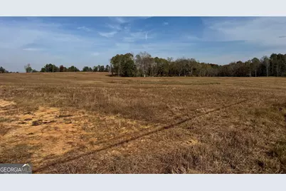 0 Old Middleton Road, Elberton, GA 30635 - Photo 18