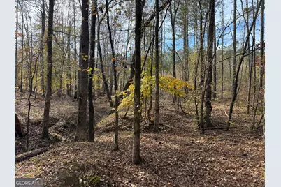 0 Old Middleton Road, Elberton, GA 30635 - Photo 4