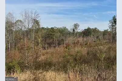 0 Old Middleton Road, Elberton, GA 30635 - Photo 30