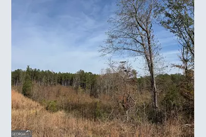 0 Old Middleton Road, Elberton, GA 30635 - Photo 28