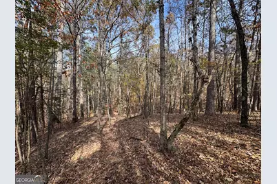 0 Old Middleton Road, Elberton, GA 30635 - Photo 42