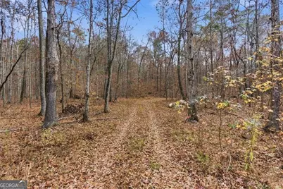 0 Flowery Branch Road, Kingston, GA 30145 - Photo 4