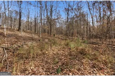 0 Flowery Branch Road, Kingston, GA 30145 - Photo 8