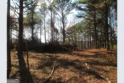 760 Carlton Johnson Road, Waco, GA 30182 - Photo 10