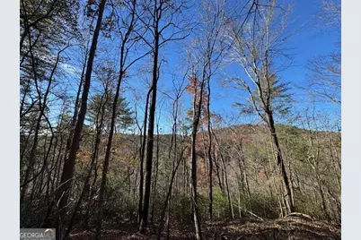 0 John Call Road, Ellijay, GA 30536 - Photo 52