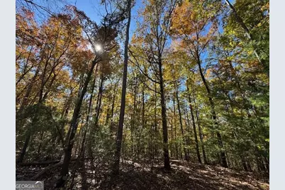 0 John Call Road, Ellijay, GA 30536 - Photo 26