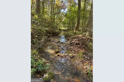 0 John Call Road, Ellijay, GA 30536 - Photo 8