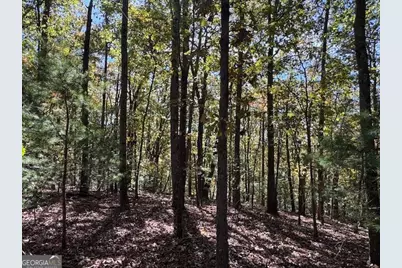 0 John Call Road, Ellijay, GA 30536 - Photo 24