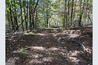 0 John Call Road, Ellijay, GA 30536 - Photo 30