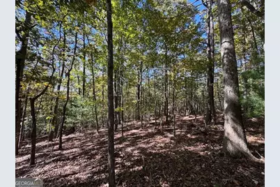 0 John Call Road, Ellijay, GA 30536 - Photo 22