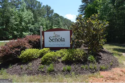 345 Darien Drive, Senoia, GA 30276 - Photo 52