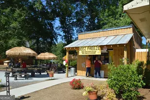 345 Darien Dr, Senoia, GA 30276 - Photo 50