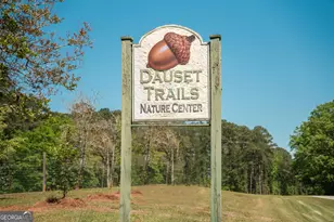 132 Post Oak Dr, Jackson, GA 30233 - Photo 30