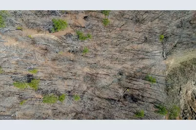 0 Snote Jones Road, Dallas, GA 30132 - Photo 8