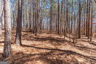 0 Snote Jones Road, Dallas, GA 30132 - Photo 18