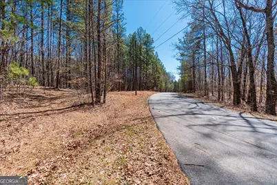 0 Snote Jones Road, Dallas, GA 30132 - Photo 12