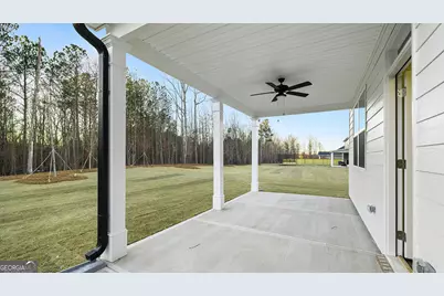 335 Staffin Drive, Senoia, GA 30276 - Photo 52