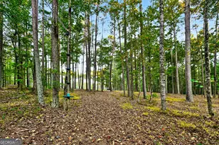 385 Huckaby Rd, Brooks, GA 30205 - Photo 58