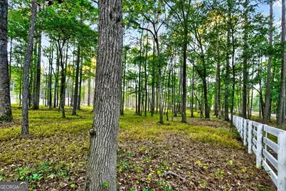 385 Huckaby Road, Brooks, GA 30205 - Photo 62