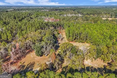 4931 Mill Branch Hunting Club Road, Pembroke, GA 31321 - Photo 58