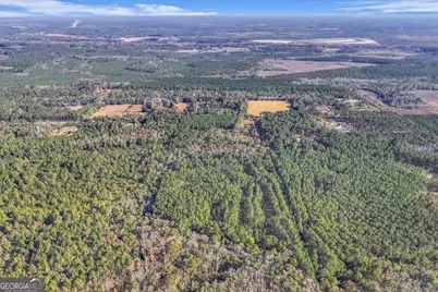 4931 Mill Branch Hunting Club Road, Pembroke, GA 31321 - Photo 60