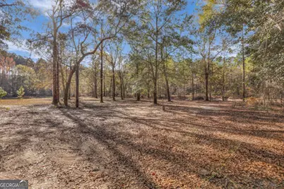 4931 Mill Branch Hunting Club Road, Pembroke, GA 31321 - Photo 50