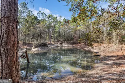 4931 Mill Branch Hunting Club Road, Pembroke, GA 31321 - Photo 56