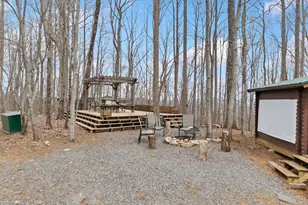 541 Little Bushy Head Rd, Cherrylog, GA 30522 - Photo 38